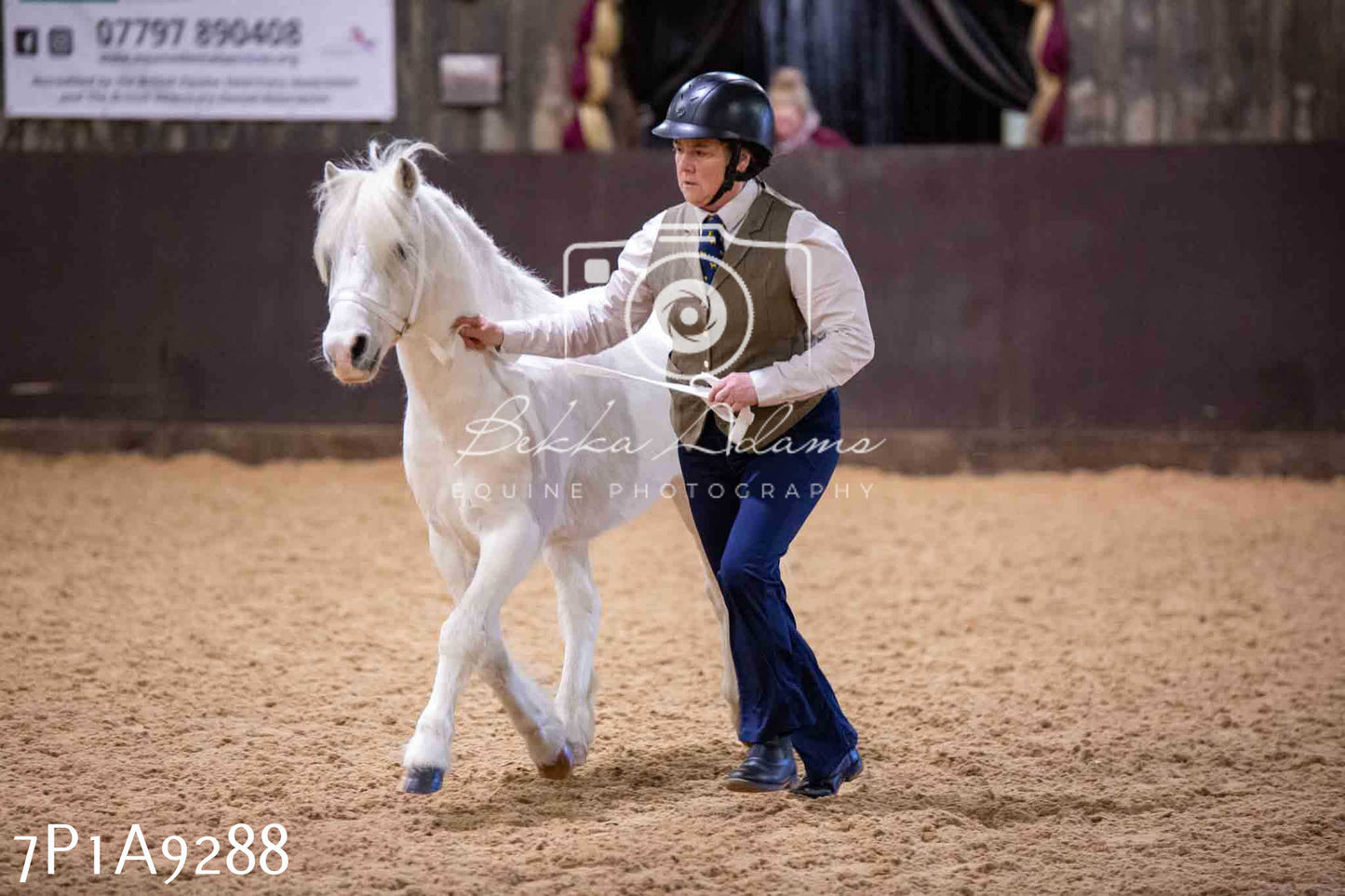 Home Farm Spring Show - Inhand Showing 23rd March 2024 - Part 1