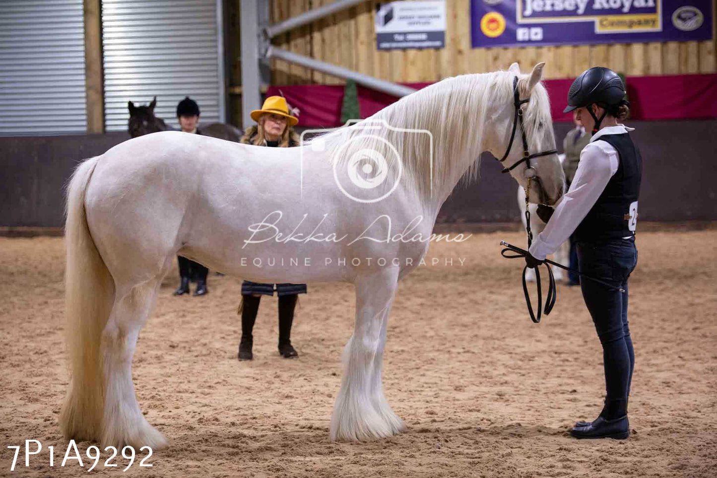 Home Farm Spring Show - Inhand Showing 23rd March 2024 - Part 1