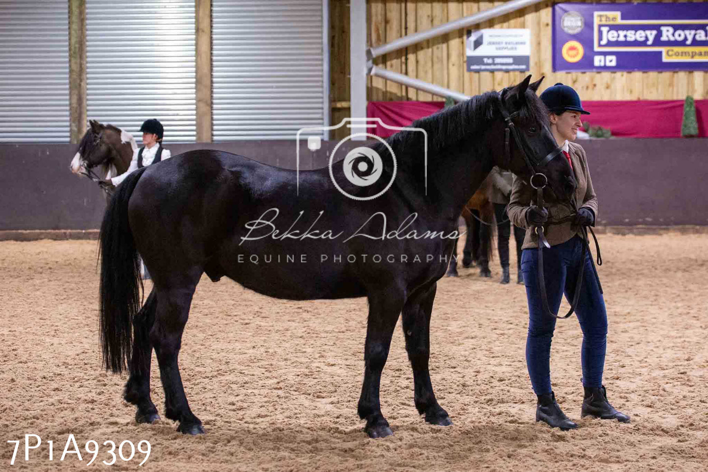 Home Farm Spring Show - Inhand Showing 23rd March 2024 - Part 1