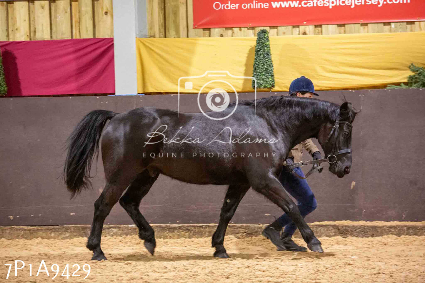 Home Farm Spring Show - Inhand Showing 23rd March 2024 - Part 1