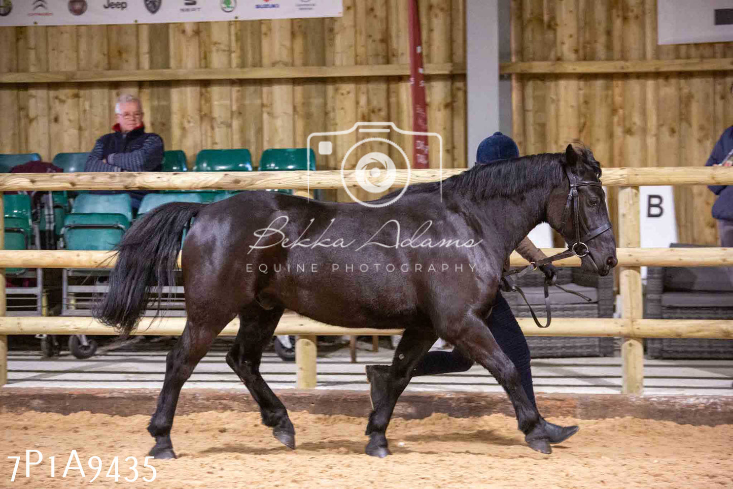 Home Farm Spring Show - Inhand Showing 23rd March 2024 - Part 1