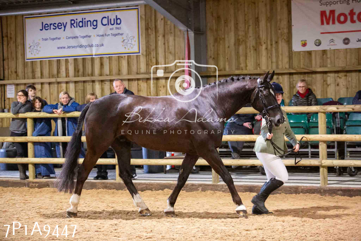 Home Farm Spring Show - Inhand Showing 23rd March 2024 - Part 1