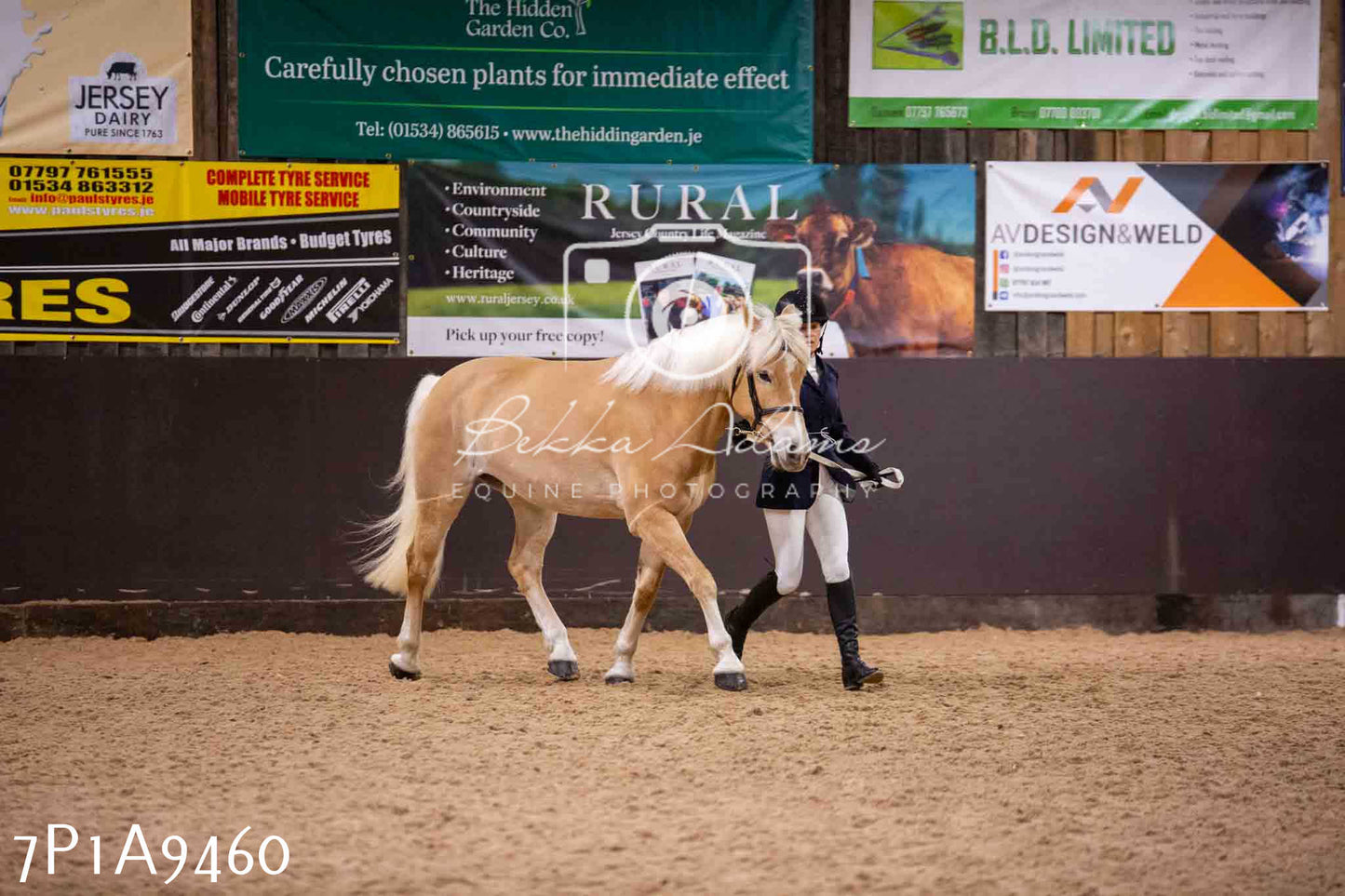 Home Farm Spring Show - Inhand Showing 23rd March 2024 - Part 1