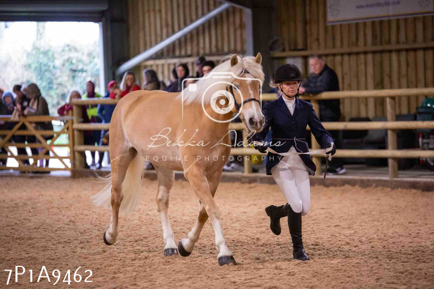 Home Farm Spring Show - Inhand Showing 23rd March 2024 - Part 1