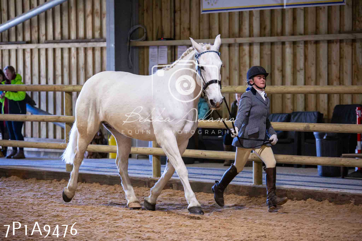 Home Farm Spring Show - Inhand Showing 23rd March 2024 - Part 2