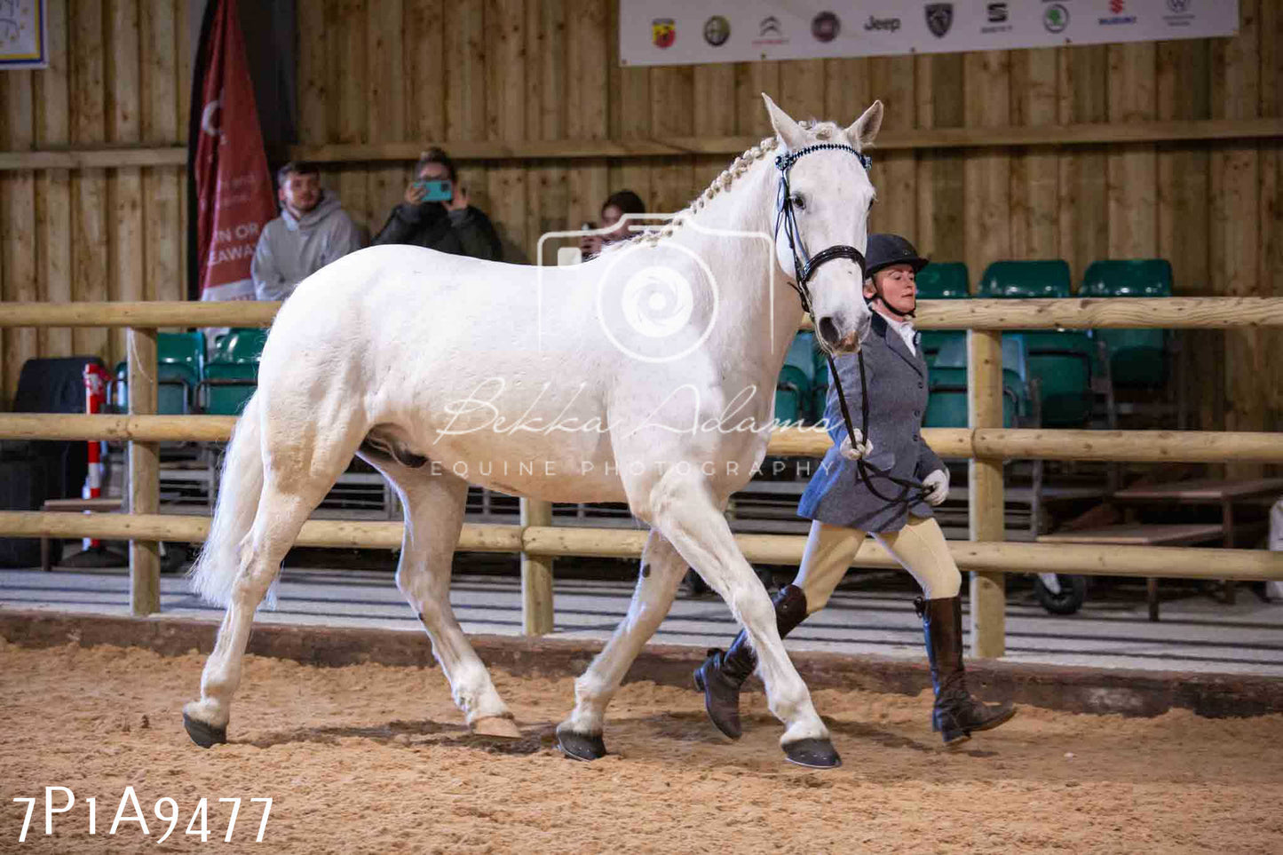 Home Farm Spring Show - Inhand Showing 23rd March 2024 - Part 2