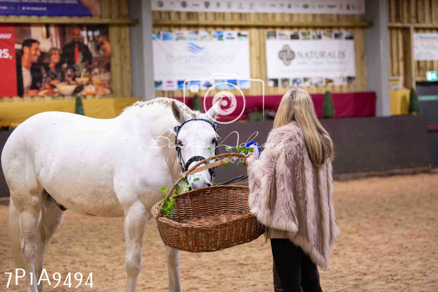 Home Farm Spring Show - Inhand Showing 23rd March 2024 - Part 2