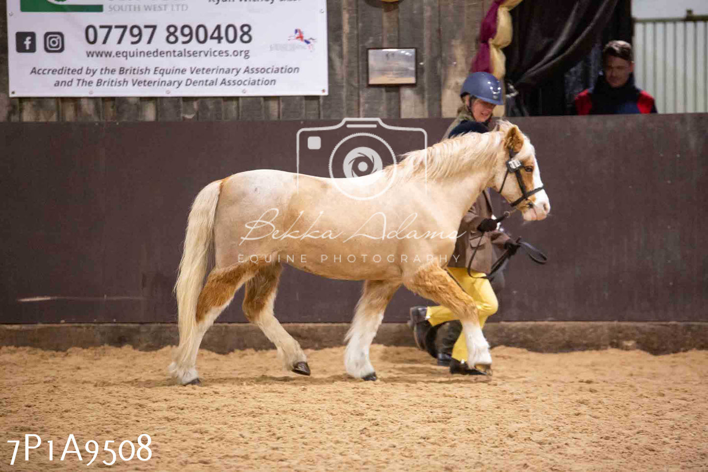 Home Farm Spring Show - Inhand Showing 23rd March 2024 - Part 2