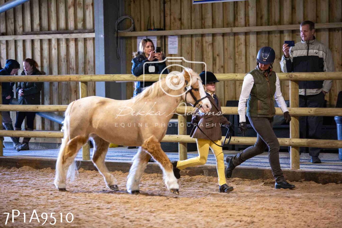 Home Farm Spring Show - Inhand Showing 23rd March 2024 - Part 2