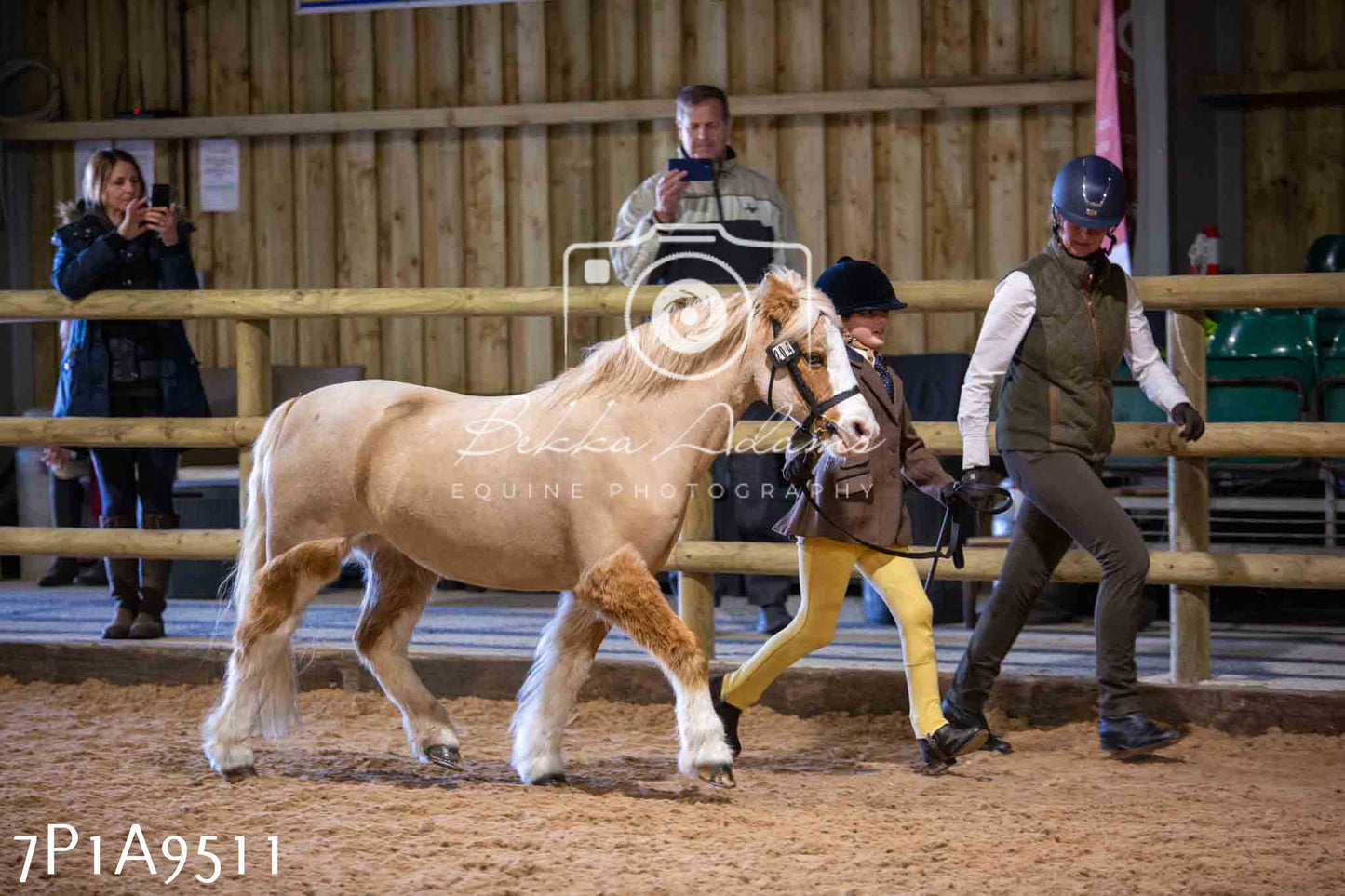 Home Farm Spring Show - Inhand Showing 23rd March 2024 - Part 2