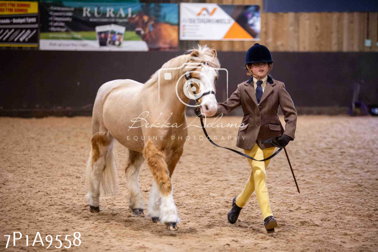 Home Farm Spring Show - Inhand Showing 23rd March 2024 - Part 2