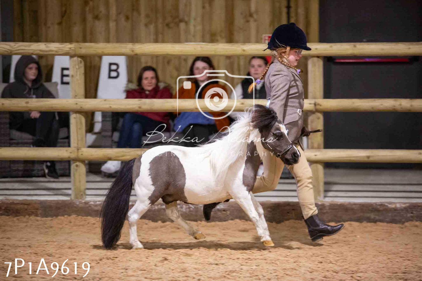 Home Farm Spring Show - Inhand Showing 23rd March 2024 - Part 2