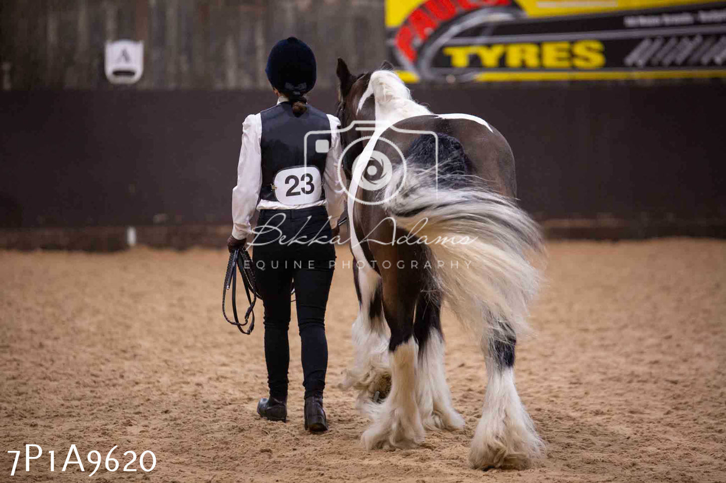 Home Farm Spring Show - Inhand Showing 23rd March 2024 - Part 2