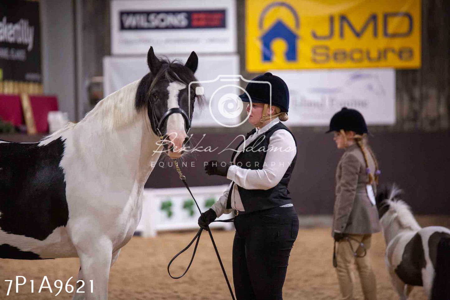 Home Farm Spring Show - Inhand Showing 23rd March 2024 - Part 2