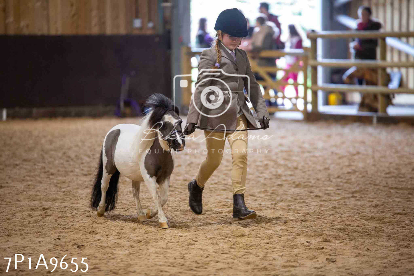 Home Farm Spring Show - Inhand Showing 23rd March 2024 - Part 2