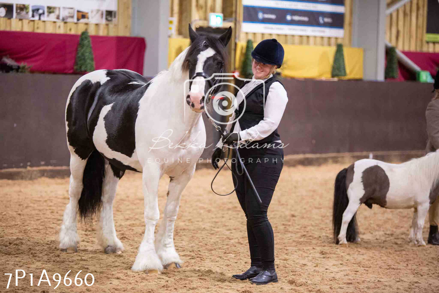 Home Farm Spring Show - Inhand Showing 23rd March 2024 - Part 2