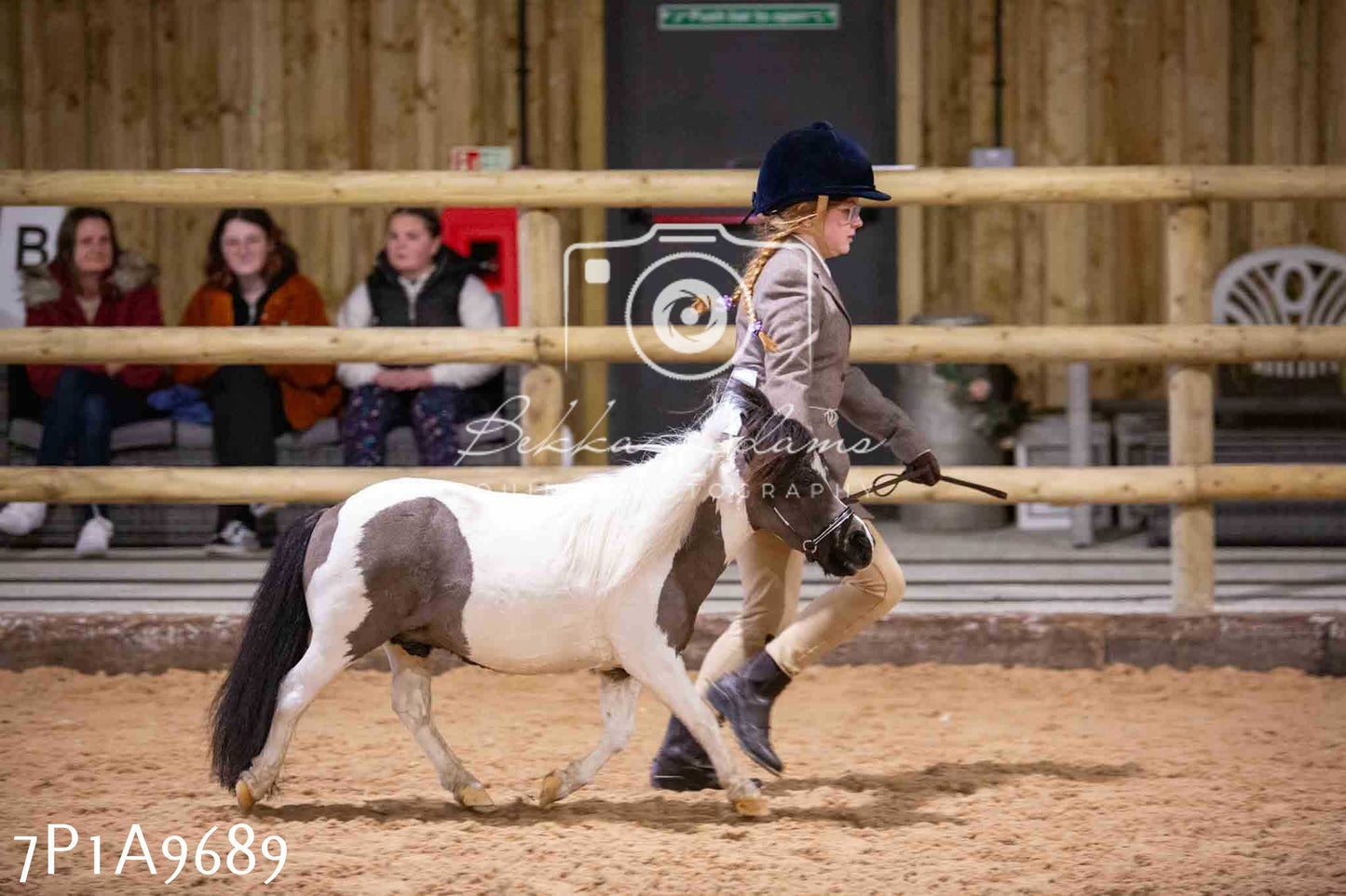 Home Farm Spring Show - Inhand Showing 23rd March 2024 - Part 2