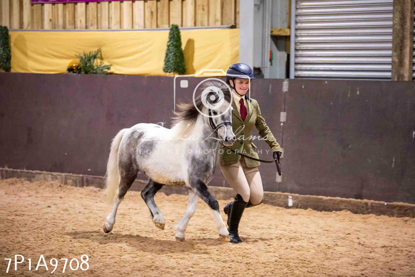 Home Farm Spring Show - Inhand Showing 23rd March 2024 - Part 2