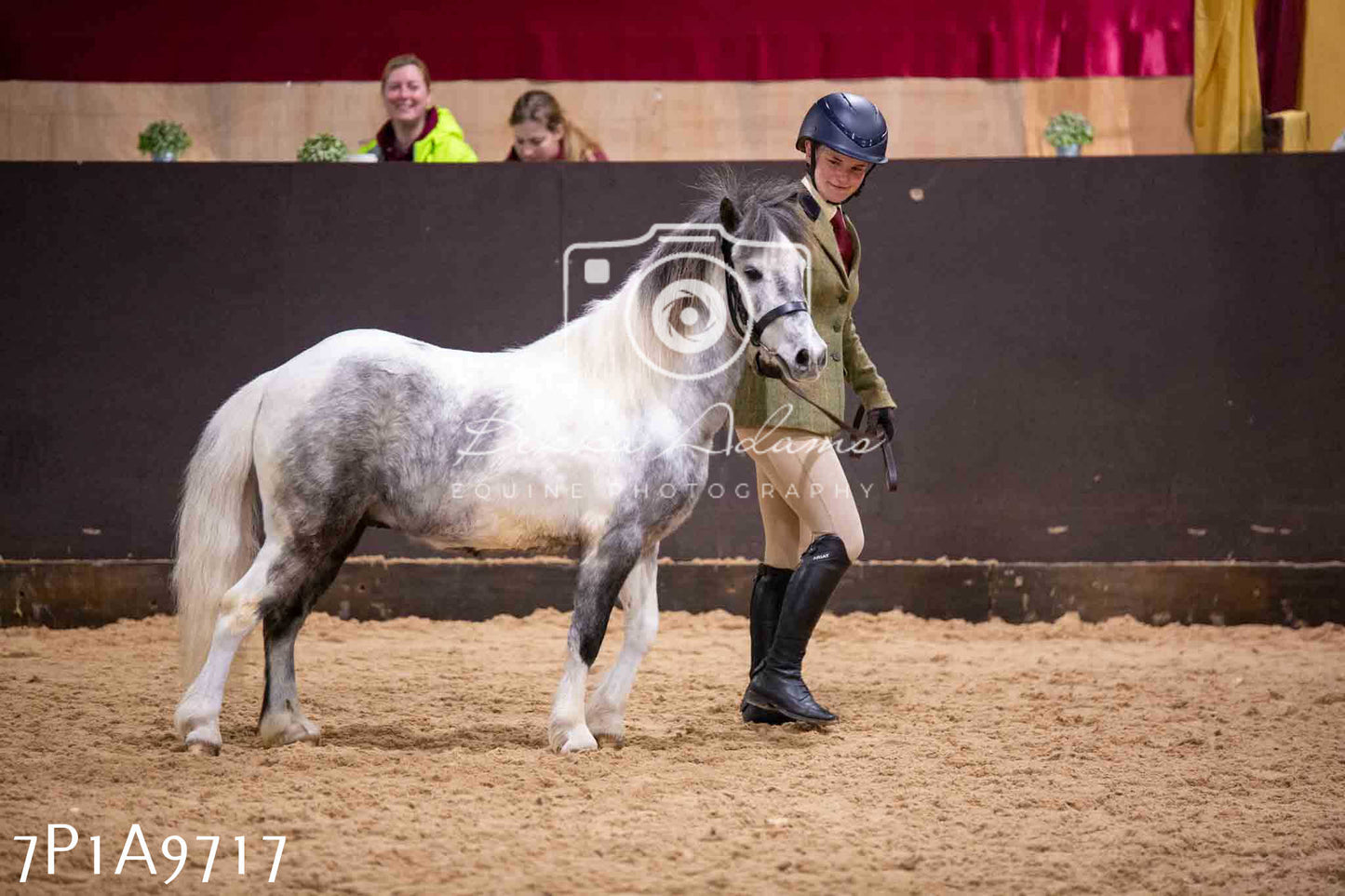 Home Farm Spring Show - Inhand Showing 23rd March 2024 - Part 2