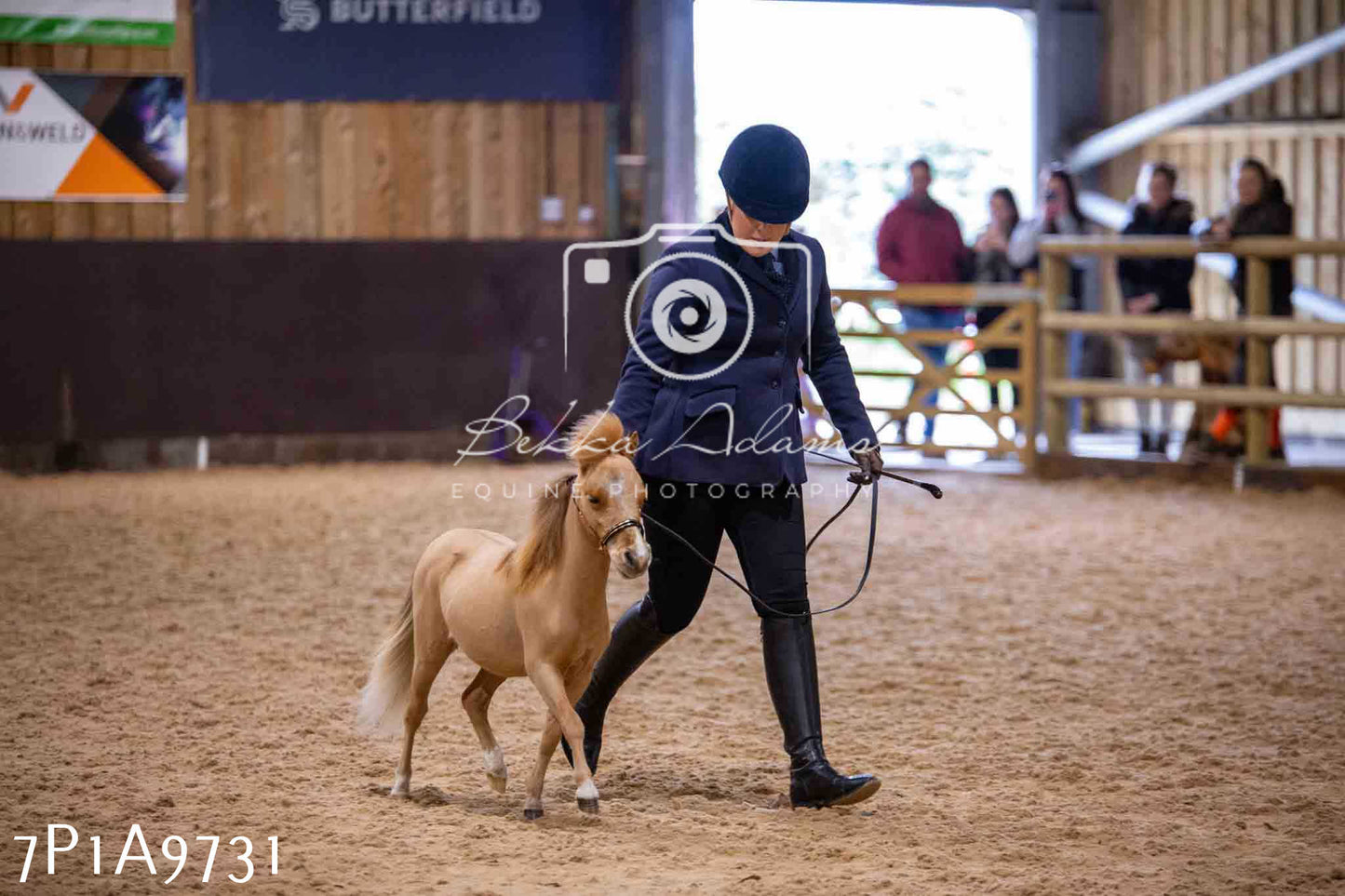 Home Farm Spring Show - Inhand Showing 23rd March 2024 - Part 2