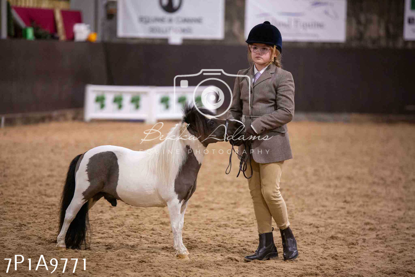 Home Farm Spring Show - Inhand Showing 23rd March 2024 - Part 2