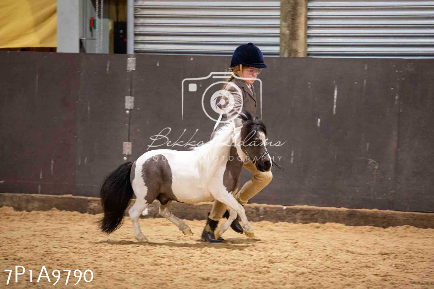 Home Farm Spring Show - Inhand Showing 23rd March 2024 - Part 2