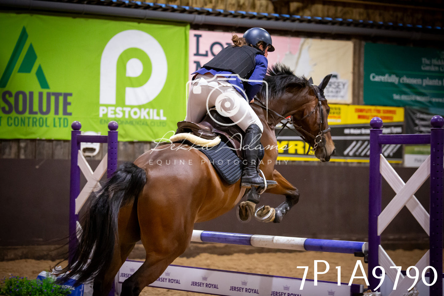 JHOYS 2025 -  Senior Show Jumping - 21st September