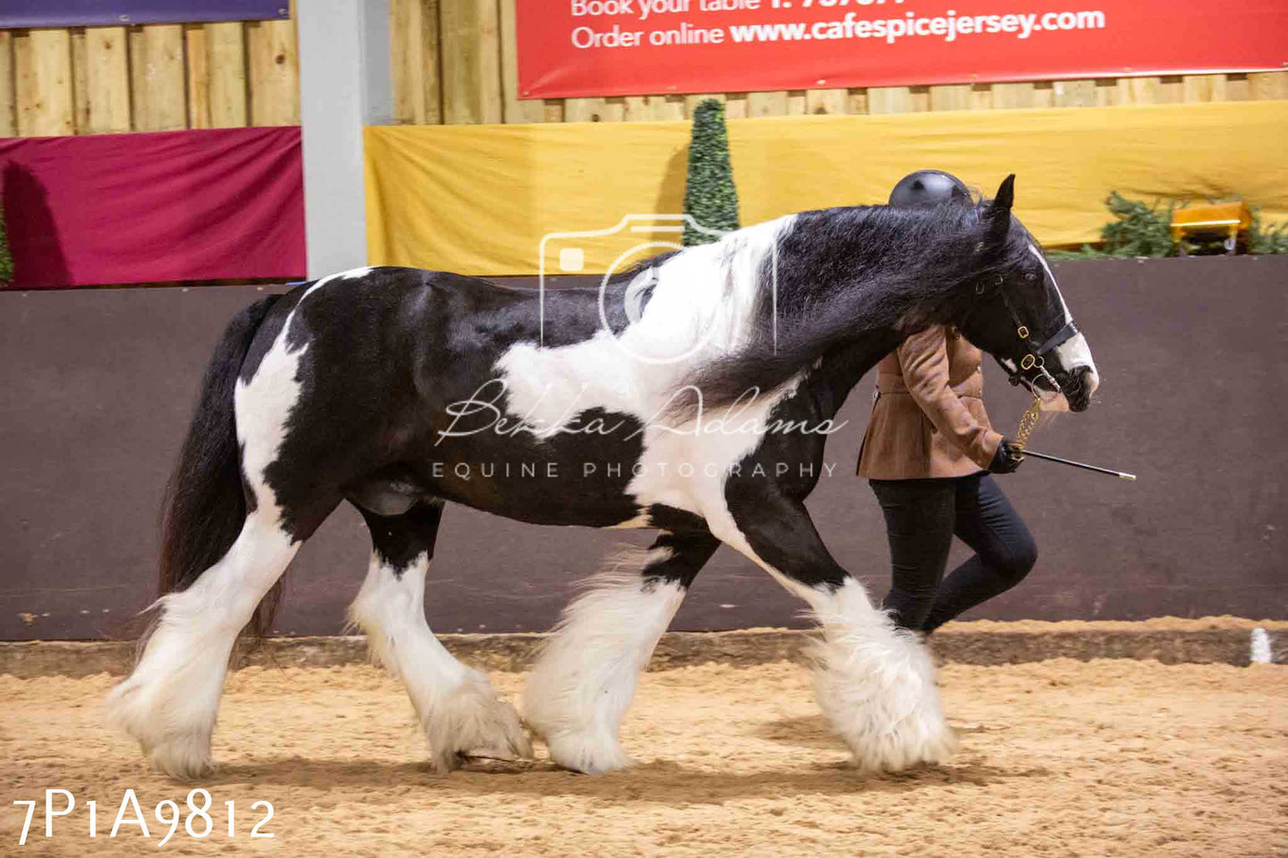 Home Farm Spring Show - Inhand Showing 23rd March 2024 - Part 2