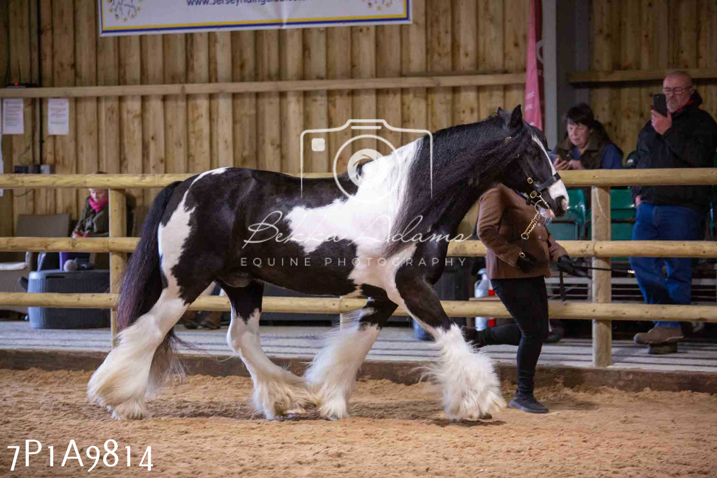 Home Farm Spring Show - Inhand Showing 23rd March 2024 - Part 2