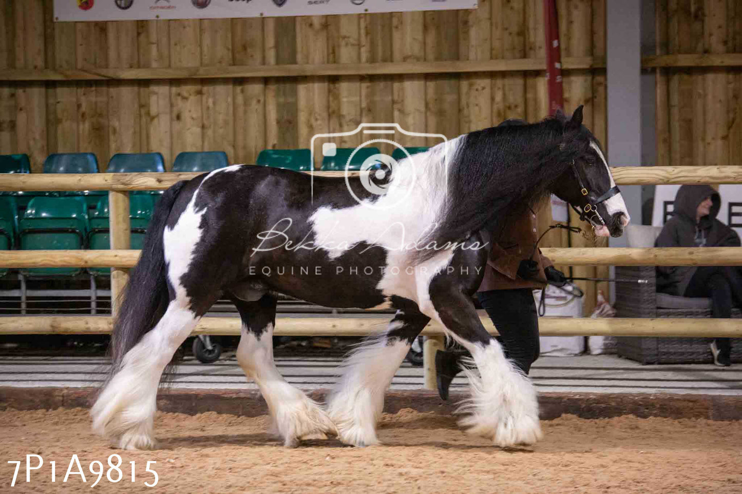 Home Farm Spring Show - Inhand Showing 23rd March 2024 - Part 2