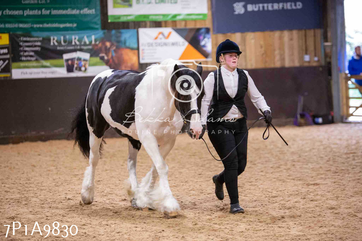 Home Farm Spring Show - Inhand Showing 23rd March 2024 - Part 2