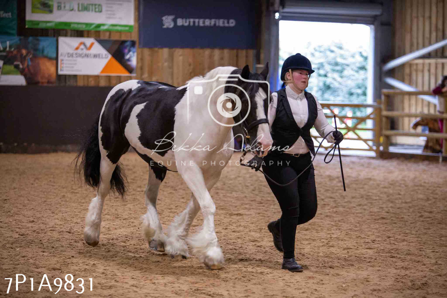 Home Farm Spring Show - Inhand Showing 23rd March 2024 - Part 2