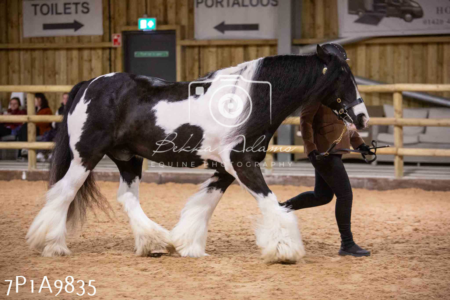 Home Farm Spring Show - Inhand Showing 23rd March 2024 - Part 2