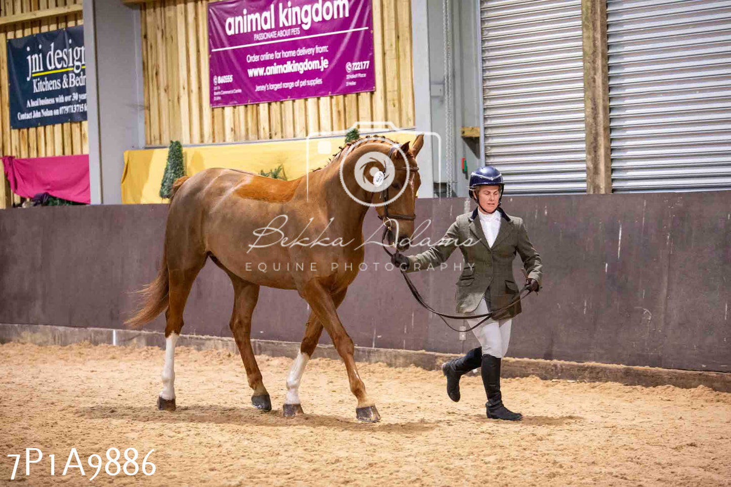 Home Farm Spring Show - Inhand Showing 23rd March 2024 - Part 2