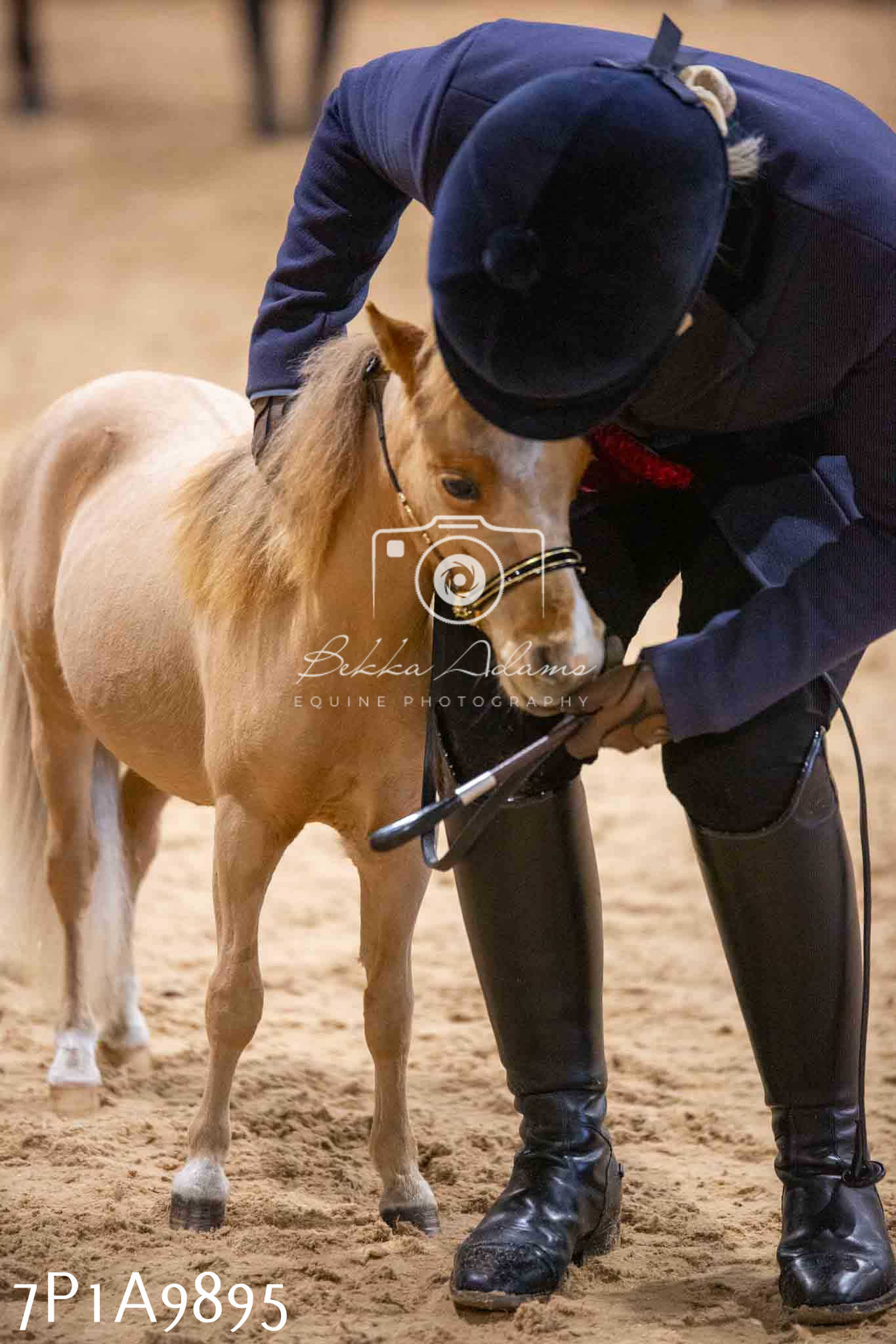 Home Farm Spring Show - Inhand Showing 23rd March 2024 - Part 2