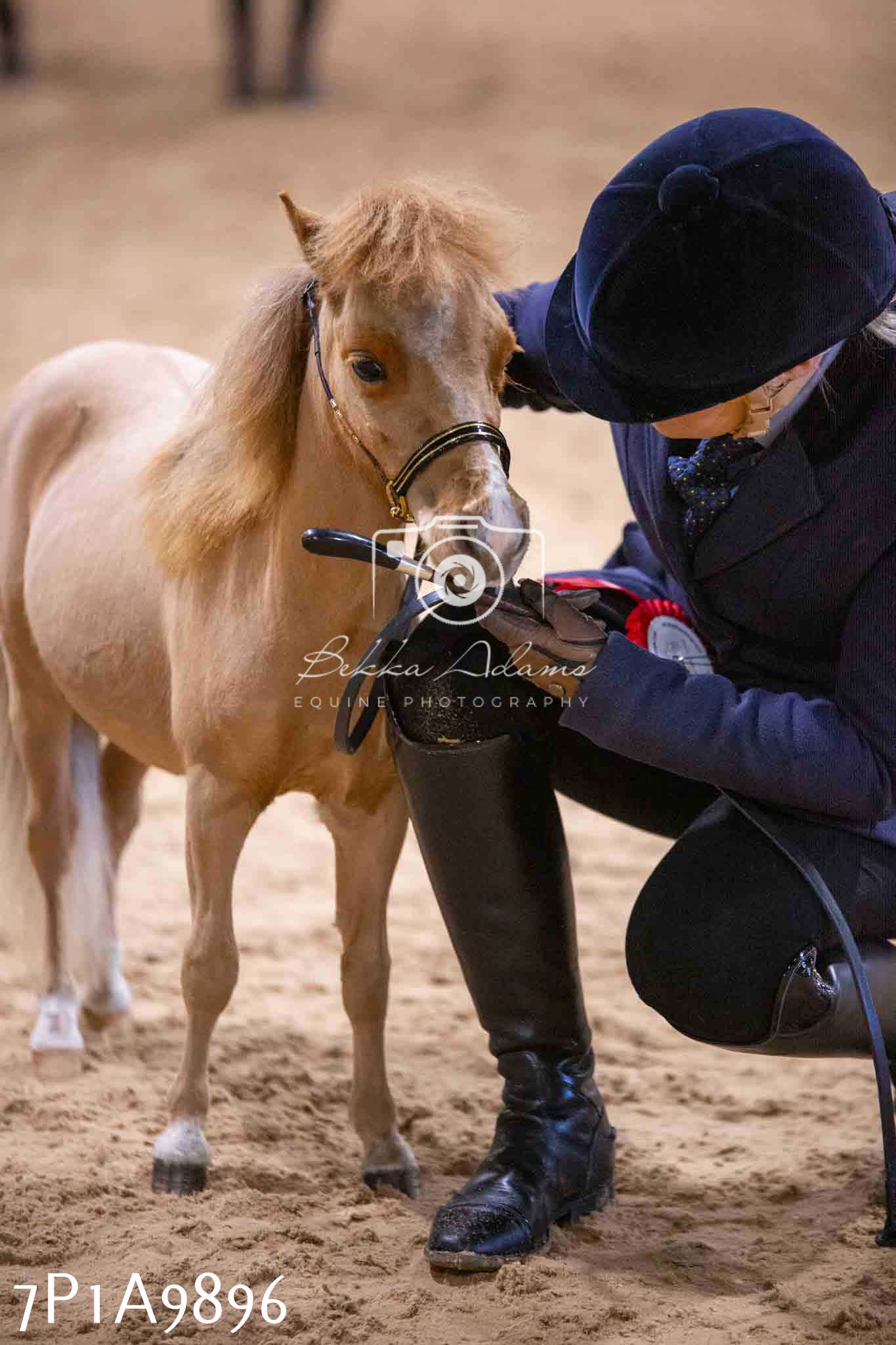 Home Farm Spring Show - Inhand Showing 23rd March 2024 - Part 2