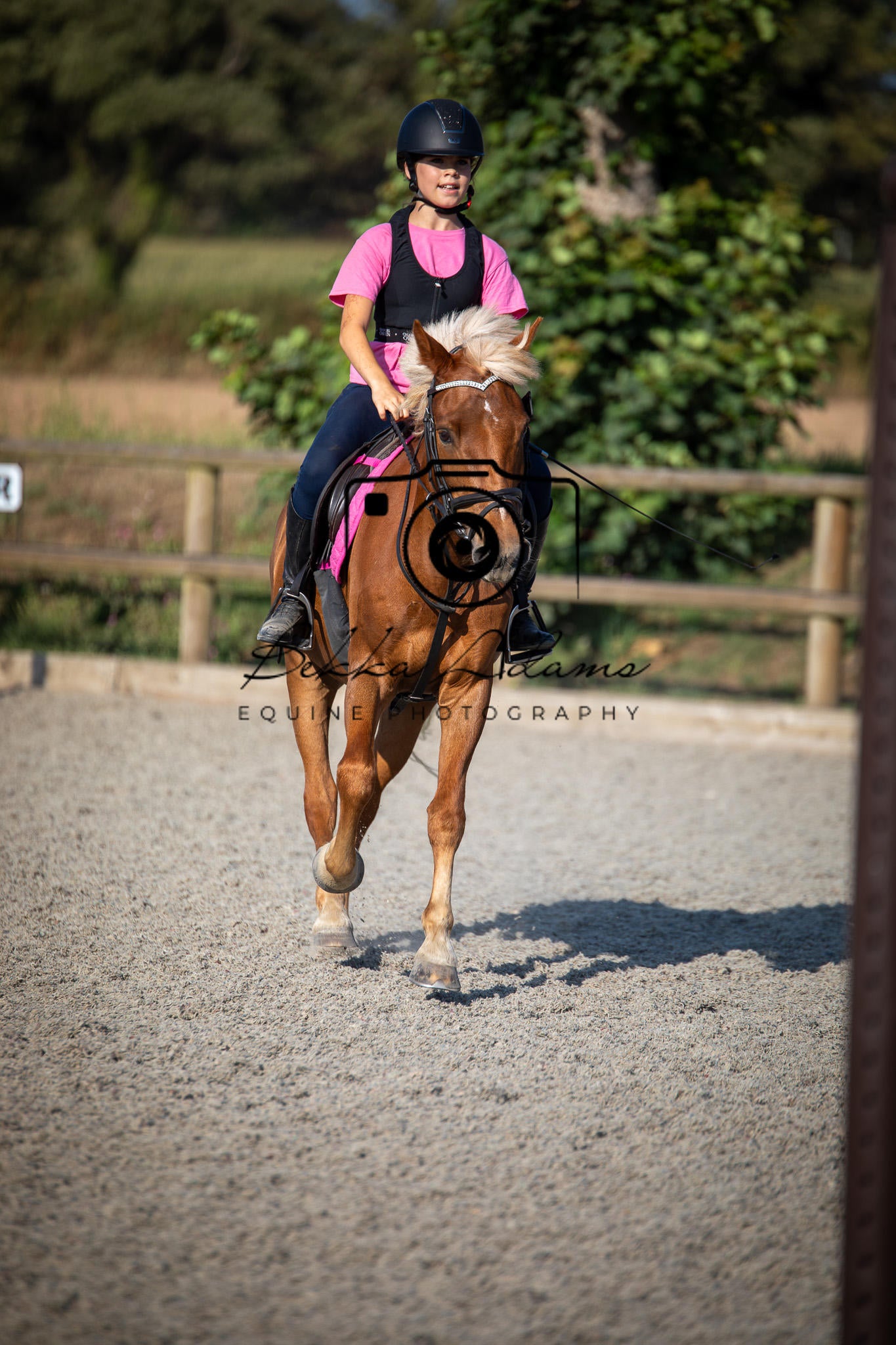 Home Farm Clear Round Jumping- 29th July 2026