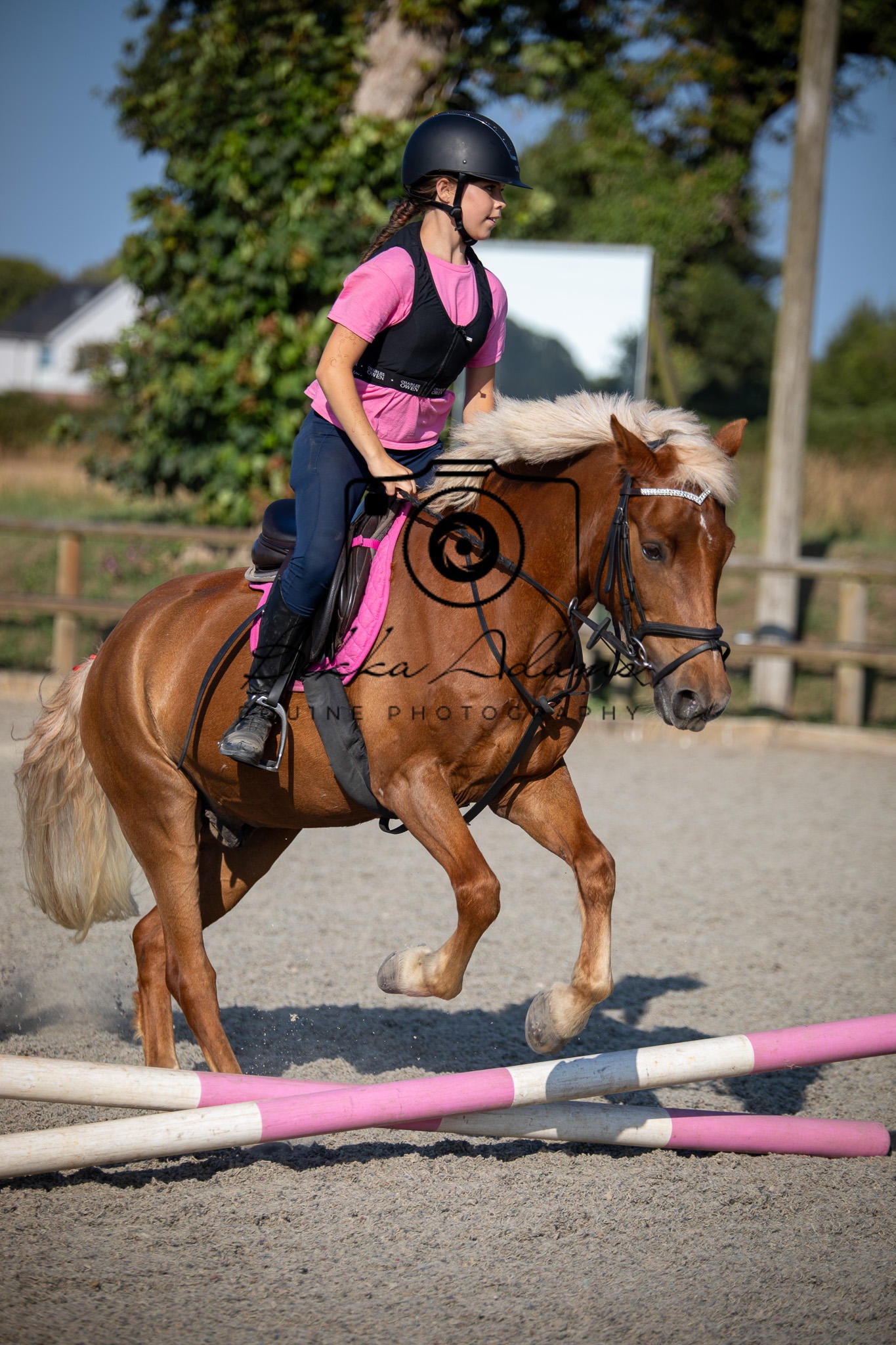 Home Farm Clear Round Jumping- 29th July 2026