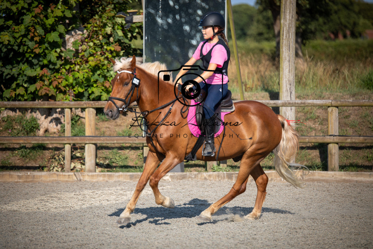 Home Farm Clear Round Jumping- 29th July 2026