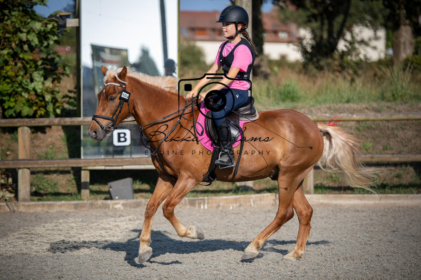 Home Farm Clear Round Jumping- 29th July 2026