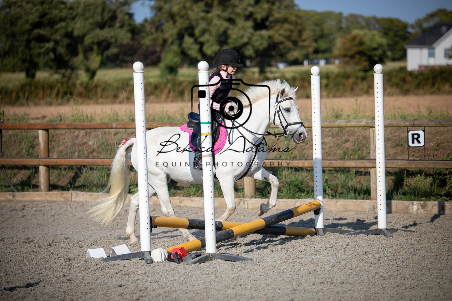 Home Farm Clear Round Jumping- 29th July 2026