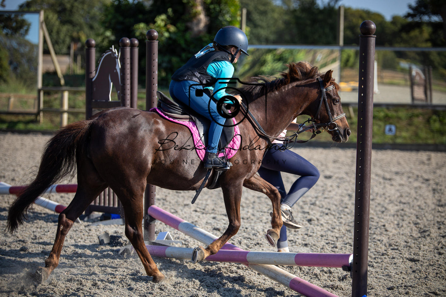 Home Farm Clear Round Jumping- 29th July 2026