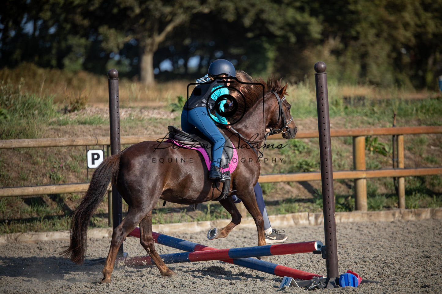 Home Farm Clear Round Jumping- 29th July 2026
