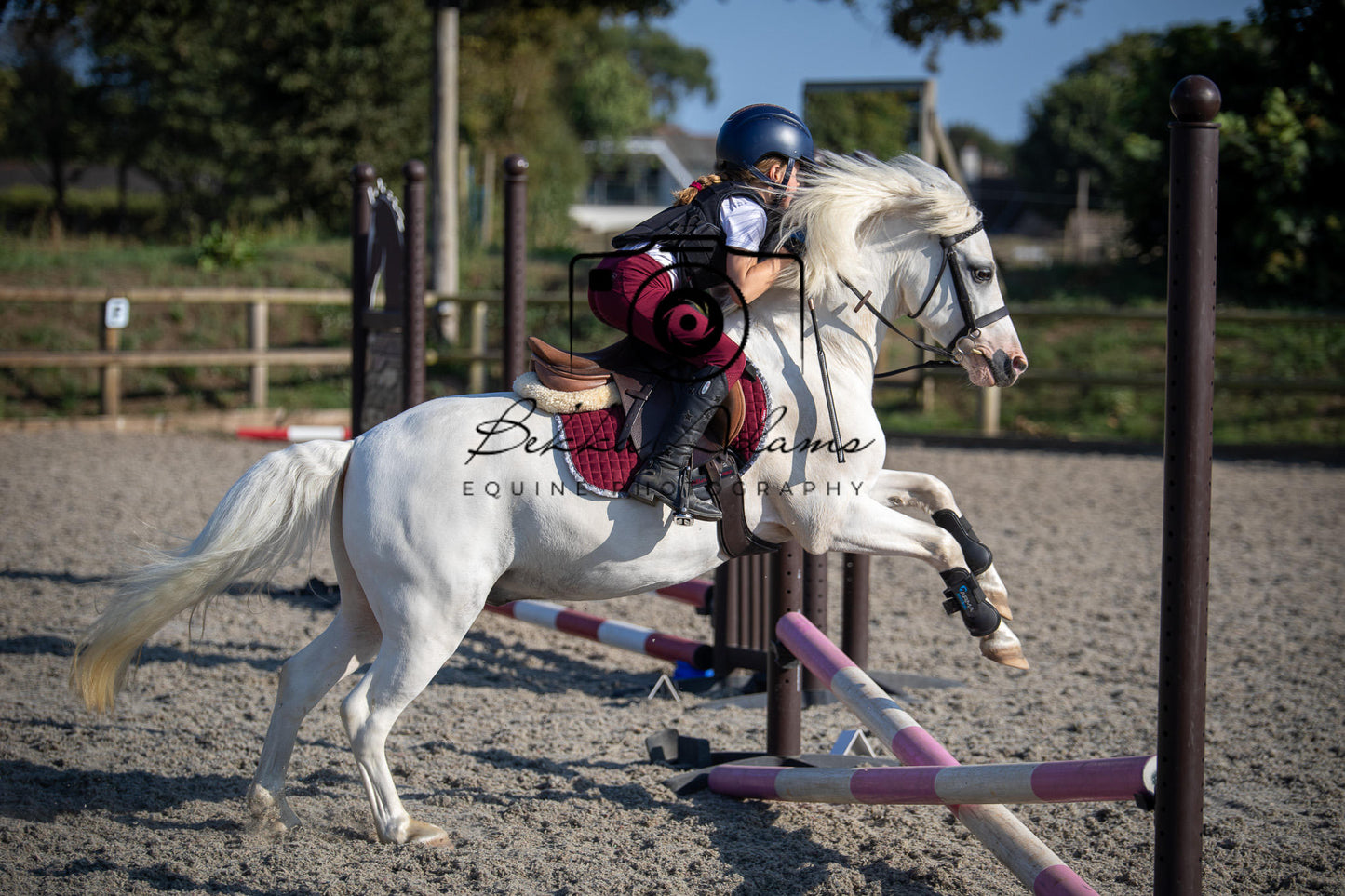 Home Farm Clear Round Jumping- 29th July 2026