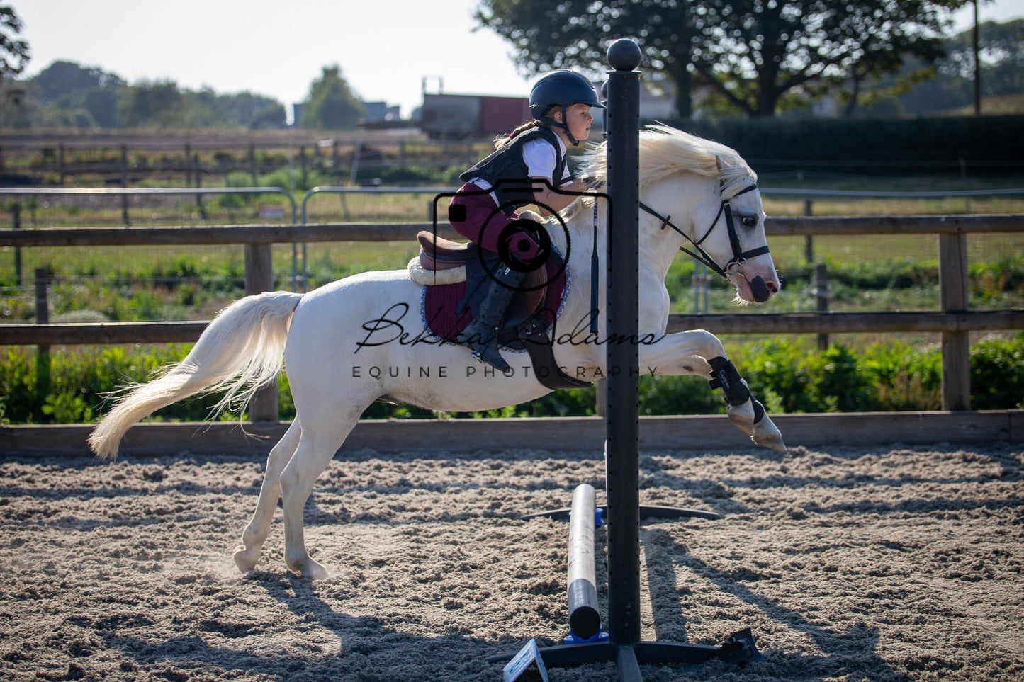 Home Farm Clear Round Jumping- 29th July 2026