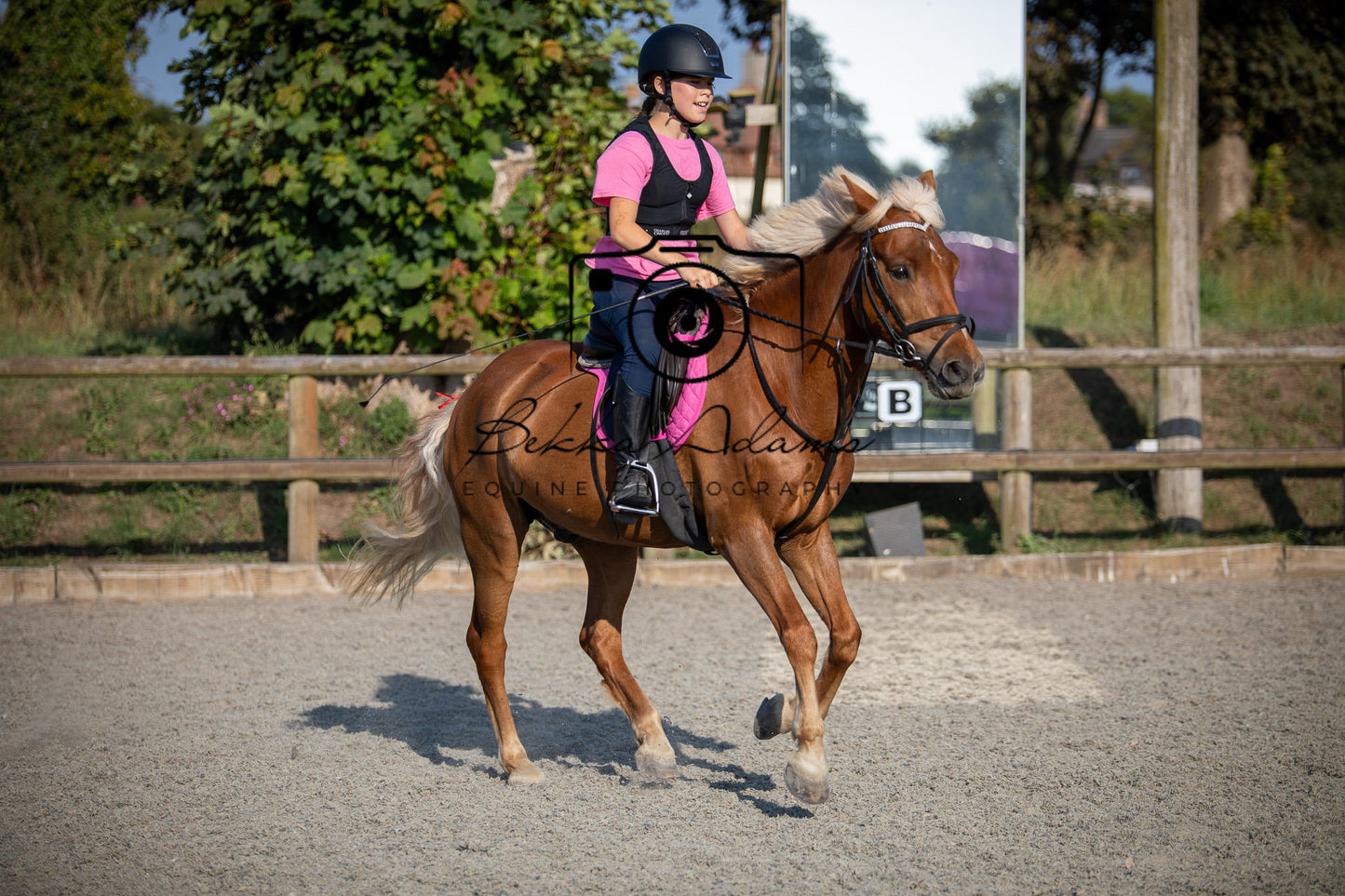 Home Farm Clear Round Jumping- 29th July 2026