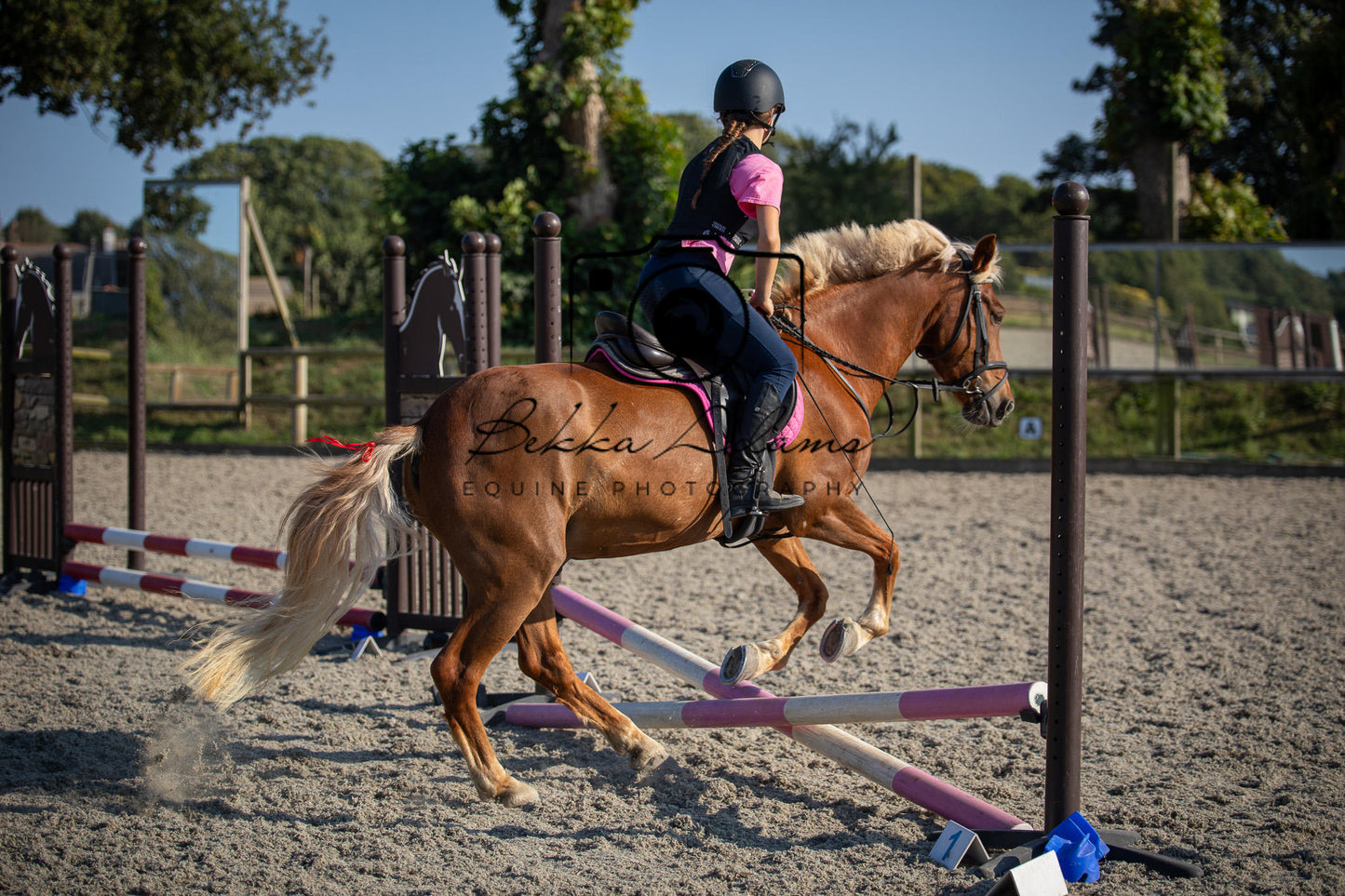 Home Farm Clear Round Jumping- 29th July 2026