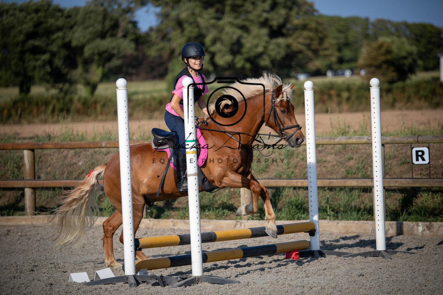 Home Farm Clear Round Jumping- 29th July 2026