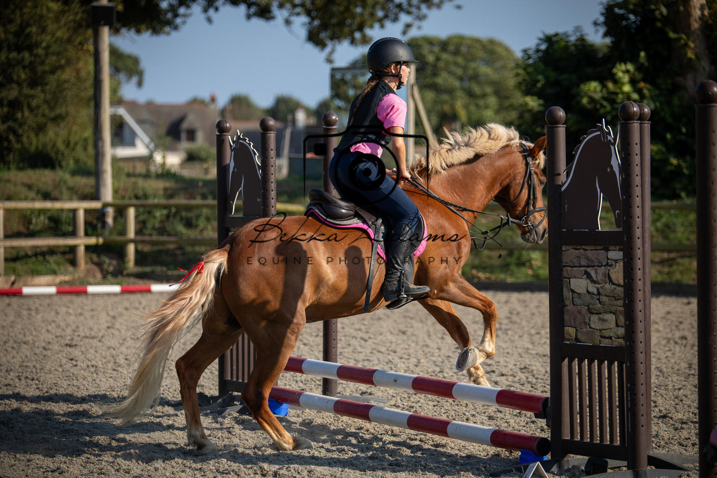 Home Farm Clear Round Jumping- 29th July 2026