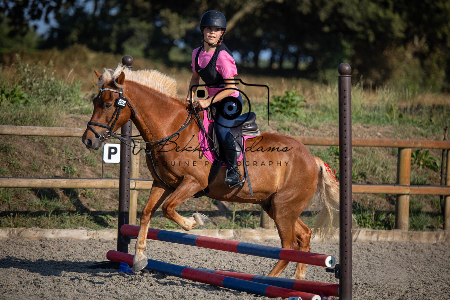 Home Farm Clear Round Jumping- 29th July 2026